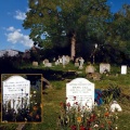 Grave Gill, Willie & Emma