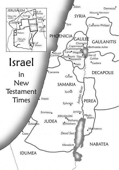 Israel NT Times.jpg