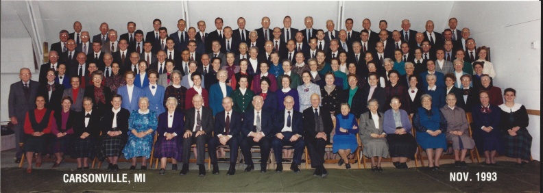 MI 1993 Carsonville